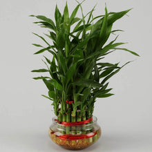 3 Layer Bamboo Personalised LED Cushion