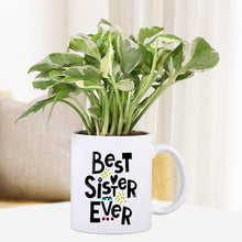 Personalised Ceramic Mug With Pothos Plant For Sister
